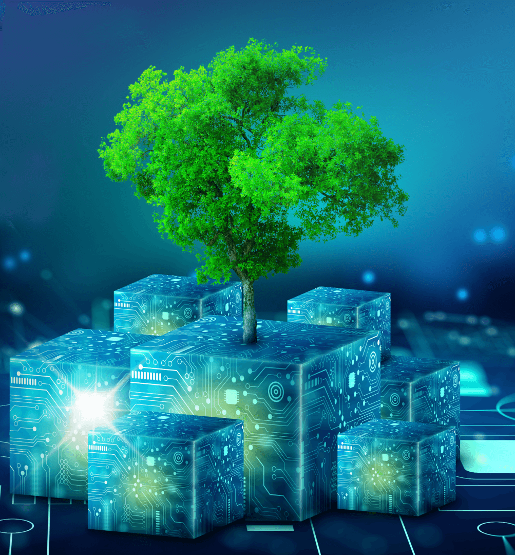 Sustainable growth with blockchain